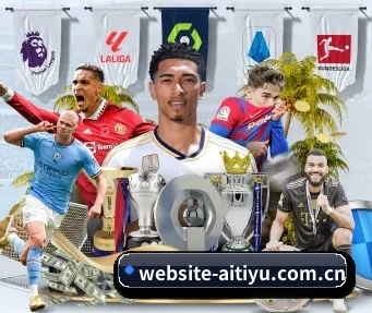 website-aitiyu.com.cn APP